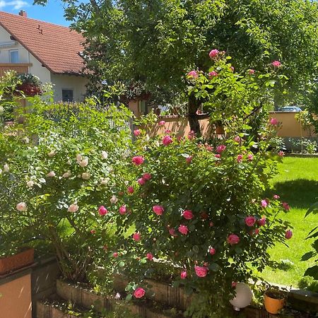 Ferienwohnung Am Eck Руст Екстер'єр фото
