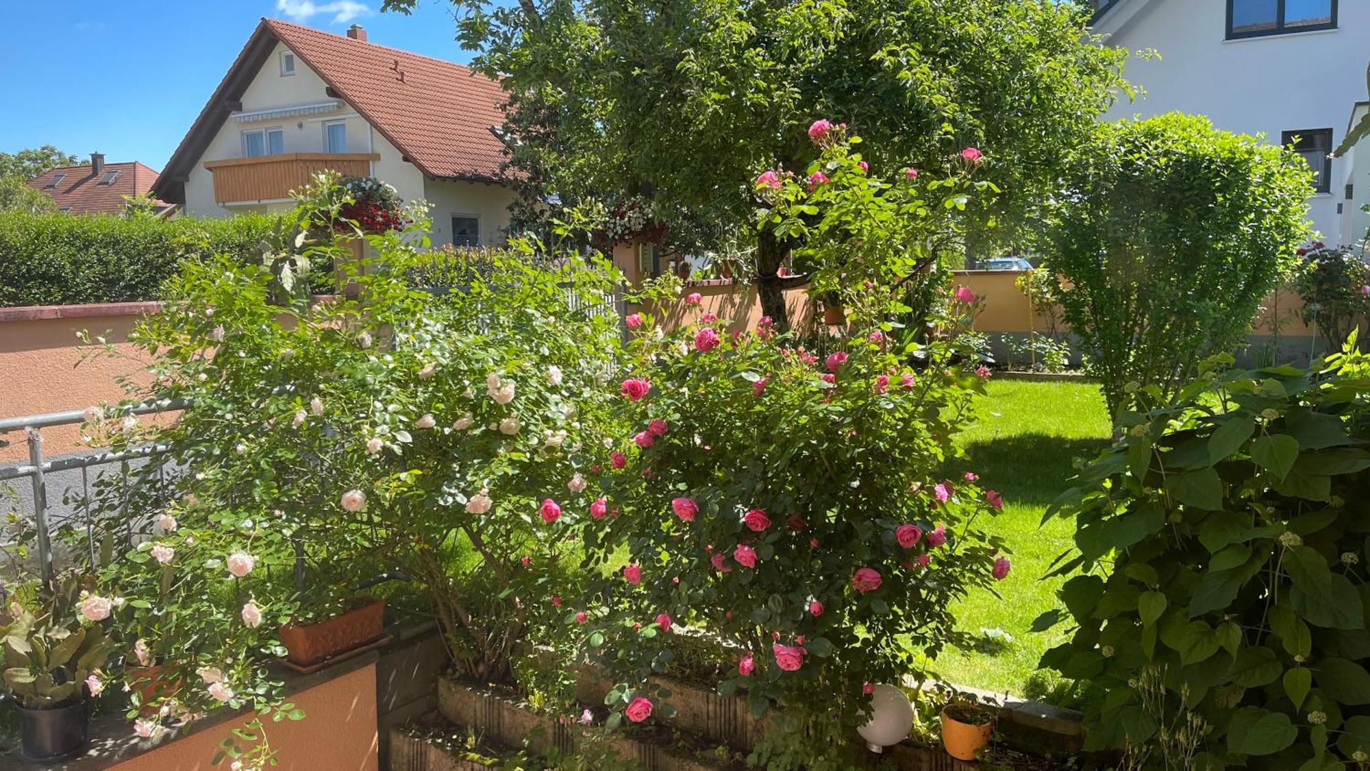 Ferienwohnung Am Eck Руст Екстер'єр фото